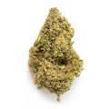Diamond Exotics - Cherry Zkittlez Premier Greenhouse Flower 14g