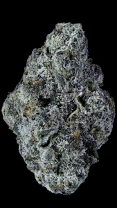 Prolific - Prolific Grow House | Cherry Zlurpee | 3.5g