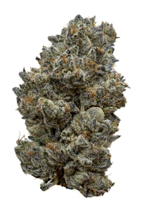 DAILY MUSE - [MED] Daily Muse | Chile Azul | 3.5g Flower