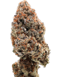 True Genetics | Chimera | 3.5g