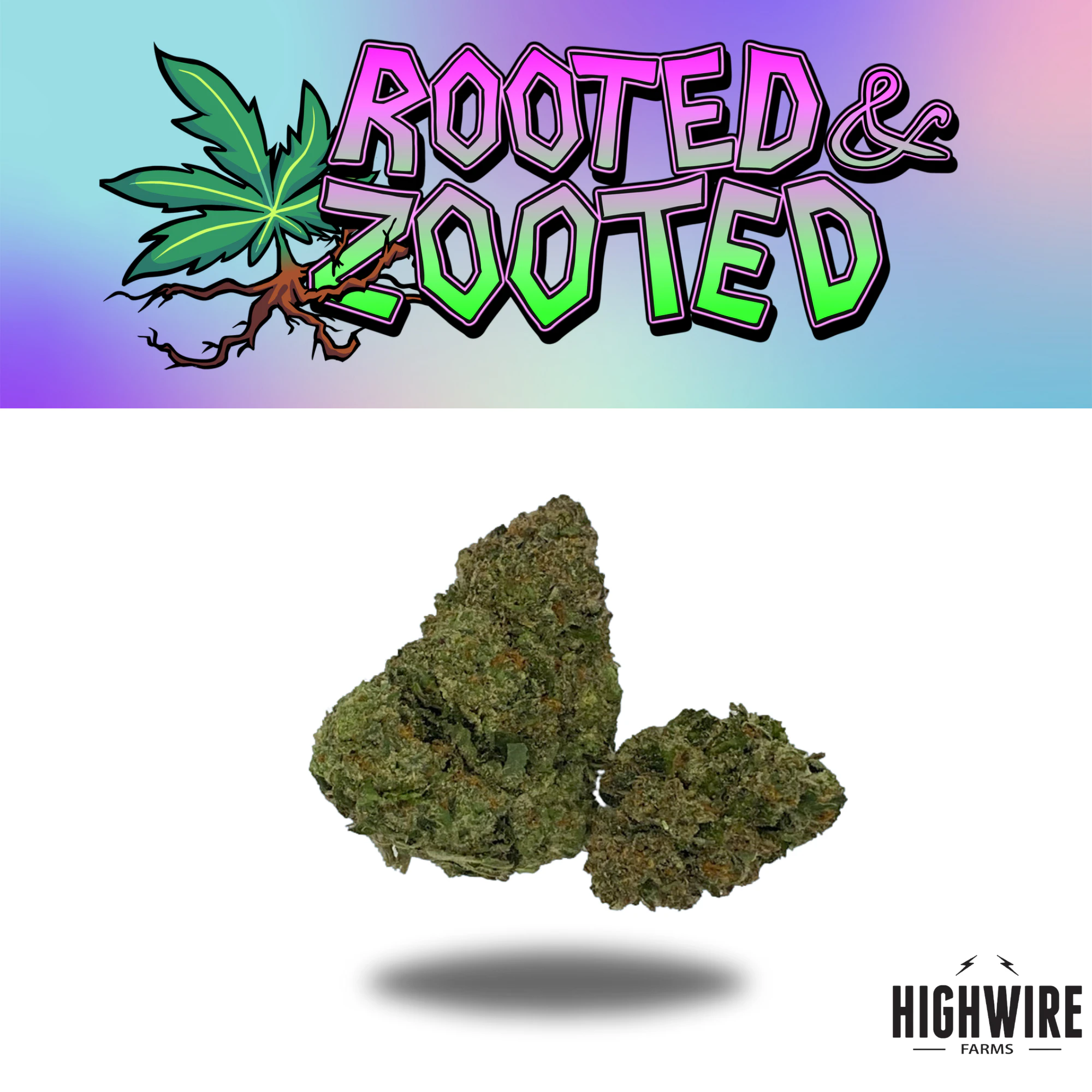 Rooted & Zooted - Chocolate Cherry Runtz Shake 26.48g Main Image