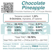 MOCA Flowers - 1/8th Mylar Bag - Chocolate Pineapple