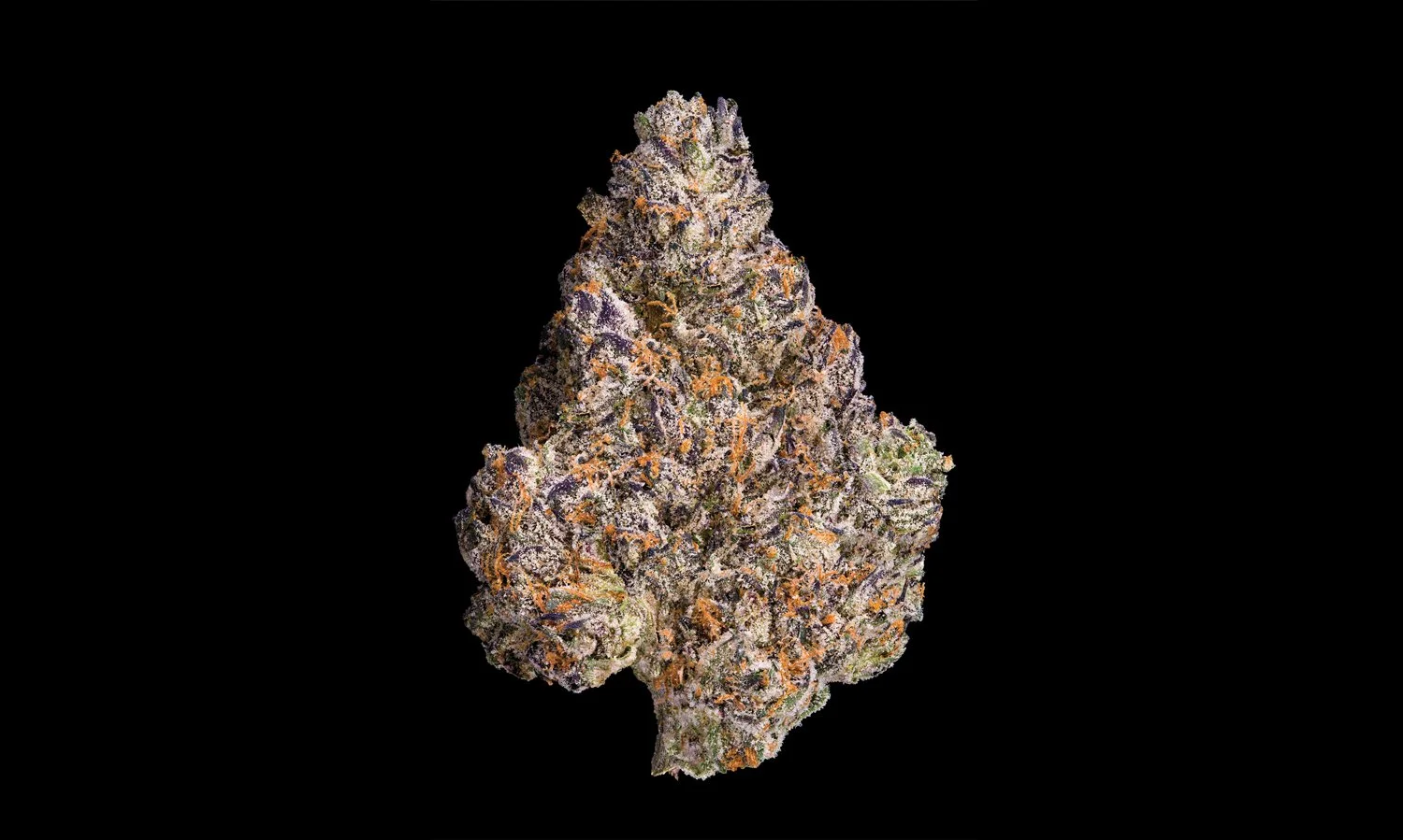Maven Genetics | Chroma | Smalls | 14g