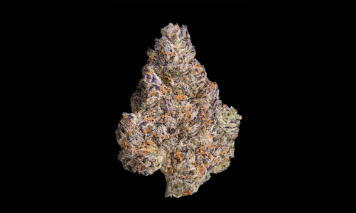 MAVEN GENETICS - Maven Genetics | Chroma | Smalls | 14g