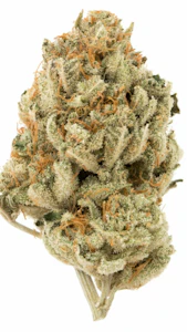 Wilshire Madison - Wilshire Madison | Princess Cake | 3.5G 