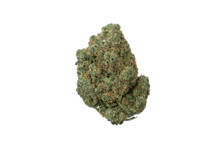 Coastal Roots - Coastal Roots | Citral Glue | 28g Flower | 28g Total | [S]