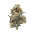 Pruf Cultivar Piescream #8