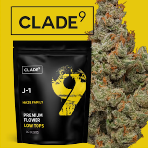 Clade9 - Clade9 | J1 | 7g