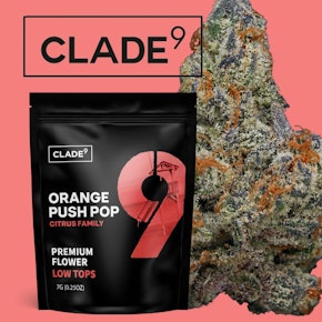 Clade9 | Orange Push Pop | 7g