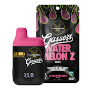 Claybourne Gassers All In One 1g Watermelon Z