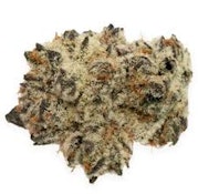 Bulk Flower | Rare Michigan Genetics | Iced Cloud Cake