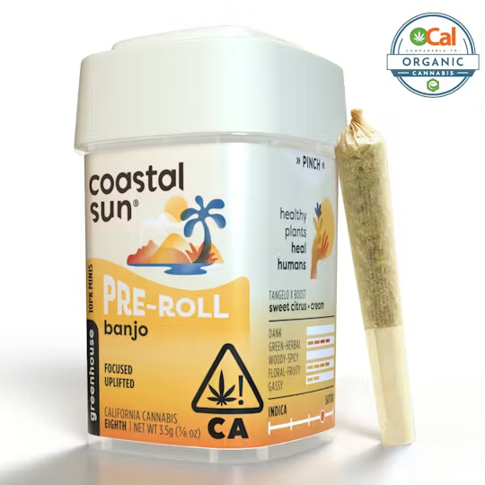Coastal Sun | Ocal | Banjo | Pre-Rolls | 10pk