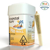 Coastal Sun | Ocal | Banjo | Pre-Rolls | 10pk