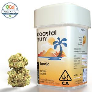 COASTAL SUN - Coastal Sun | OCal | Banjo | 3.5g