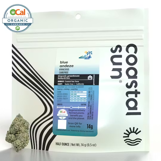 Coastal Sun | OCal | Blue Andeze | 14g