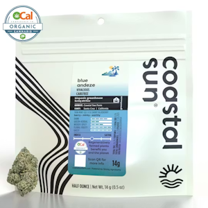 COASTAL SUN - Coastal Sun | OCal | Blue Andeze | 14g