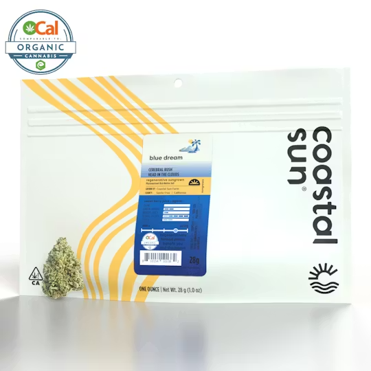 Coastal Sun | OCal | Blue Dream | 28g