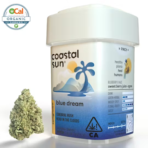 COASTAL SUN - Coastal Sun | OCal | Blue Dream | 7g