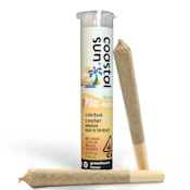 Coastal Sun | Cactus Cooler | Infused Pre-Roll | 2pk