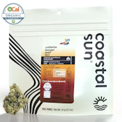 Coastal Sun | OCal | Caliente Burger | 14g