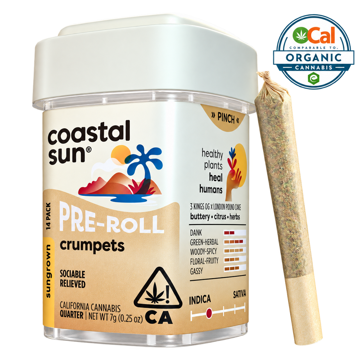 Coastal Sun | Ocal | Crumpets | Pre-Rolls | 14pk