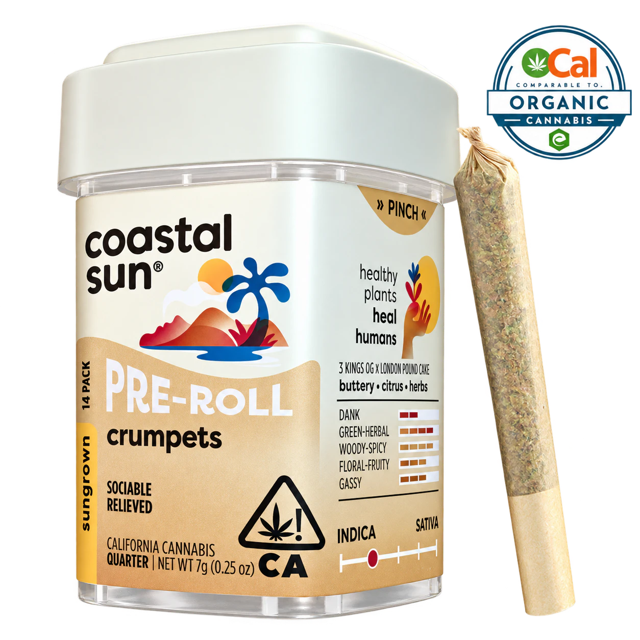 Coastal Sun - Coastal Sun | Ocal | Crumpets | Pre-Rolls | 14pk Main Image
