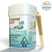 Coastal Sun | Ocal | GMO Garlic Cookies | Pre-Rolls | 10pk