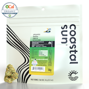 Atomic Belts - 14g (IH) - Coastal Sun