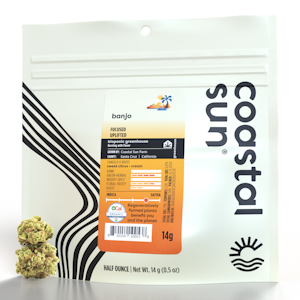 COASTAL SUN - Banjo - 14g (S) - Coastal Sun