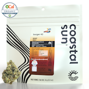 Burger 42 - 14g (I) - Coastal Sun