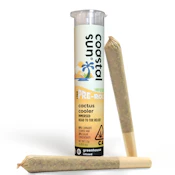 Infused - 2pk - Cactus Cooler - 1.5g (S) - Coastal Sun
