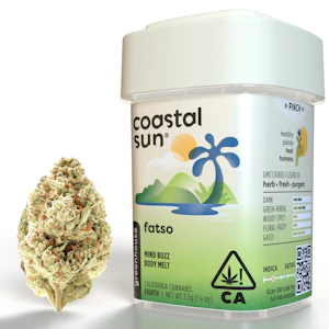 Coastal Sun - Fatso - 3.5g (I) - Coastal Sun