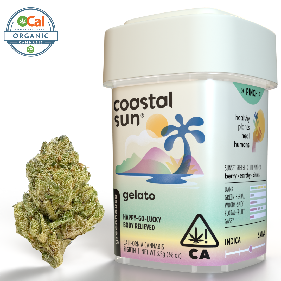 Coastal Sun | OCal | Gelato | 3.5g