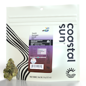 Hash Burger - 14g (H) - Coastal Sun