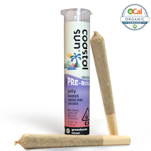 COASTAL SUN - Infused - 2pk - Jelly Toast - 1.5g (IH) - Coastal Sun