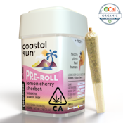 10pk - Lemon Cherry Sherbet - 3.5g (H) - Coastal Sun
