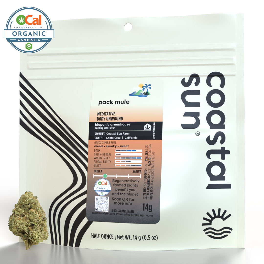 Coastal Sun | Pack Mule | 14g