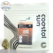 Coastal Sun | Pack Mule | 14g