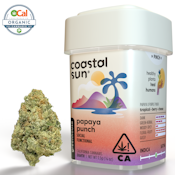 Papaya Punch - 3.5g (H) - Coastal Sun