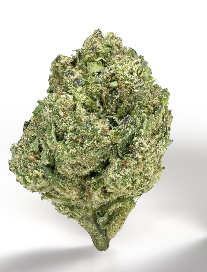 Coastal Sun | OCal | Pink Runtz | 14g