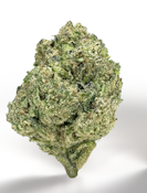 Coastal Sun | OCal | Pink Runtz | 14g