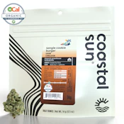Tangie Cookie burger - 14g (IH) - Coastal Sun