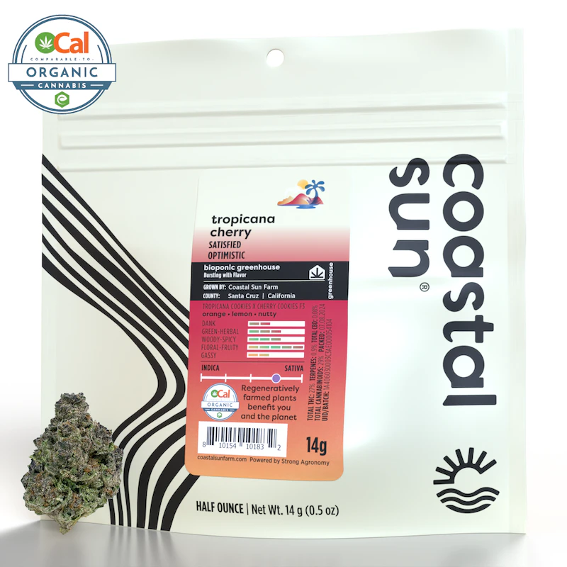 Coastal Sun - Tropicana Cherry 14g - (S) - Coastal Sun Main Image