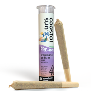 COASTAL SUN - Coastal Sun | Tropicanna Cookies | Infused Pre-Roll | 2pk