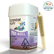 Coastal Sun | Ocal | Hash Burger | Pre-Rolls | 10pk