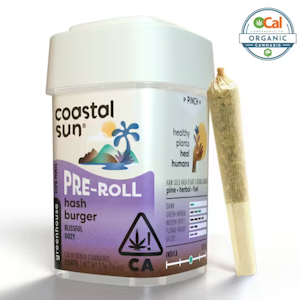 COASTAL SUN - Coastal Sun | Ocal | Hash Burger | Pre-Rolls | 10pk