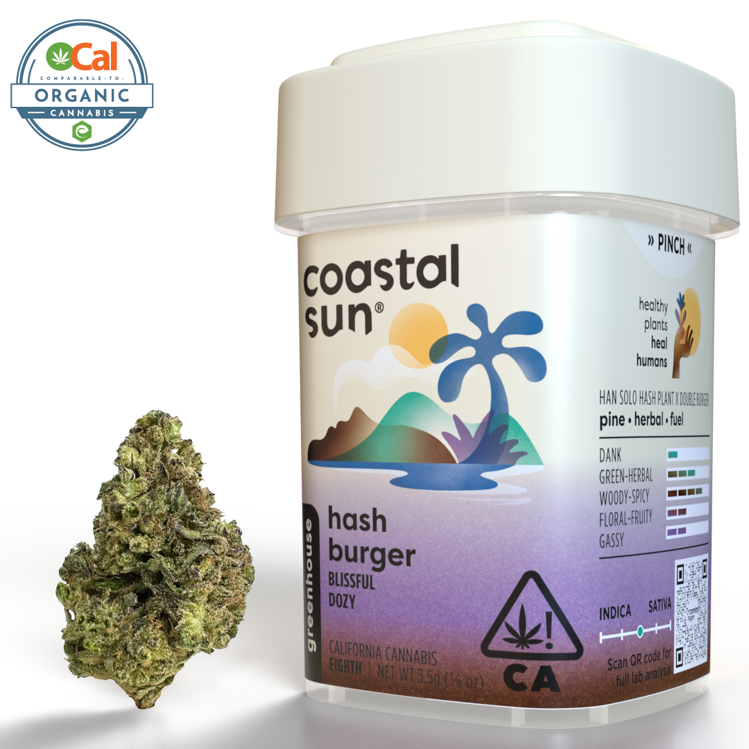 Coastal Sun | OCal | Hash Burger | 3.5g