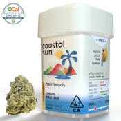 Coastal Sun | OCal | Heirheads | 7g