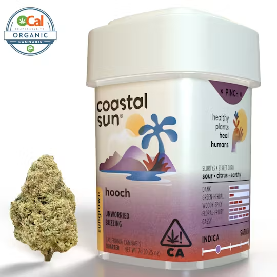 Coastal Sun | OCal | Hooch | 7g