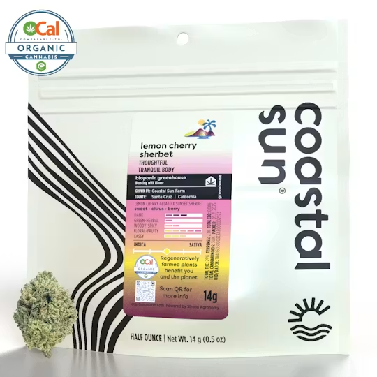 Coastal Sun | OCal | Lemon Cherry Sherbet | 14g